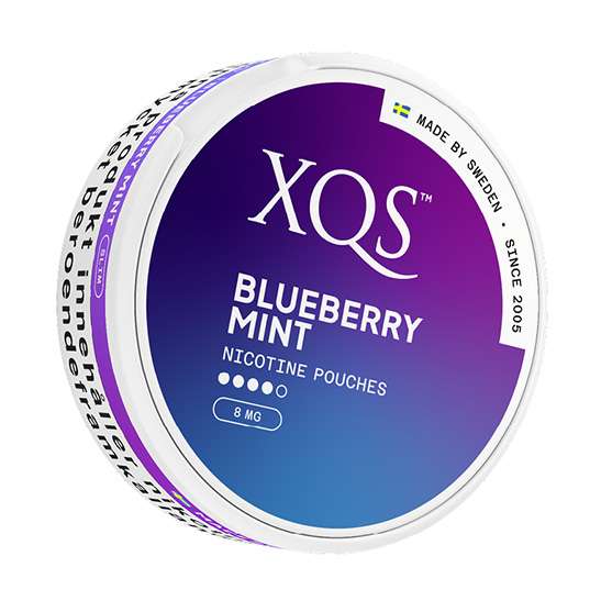 XQS Blueberry Mint (8 mg/pouch)