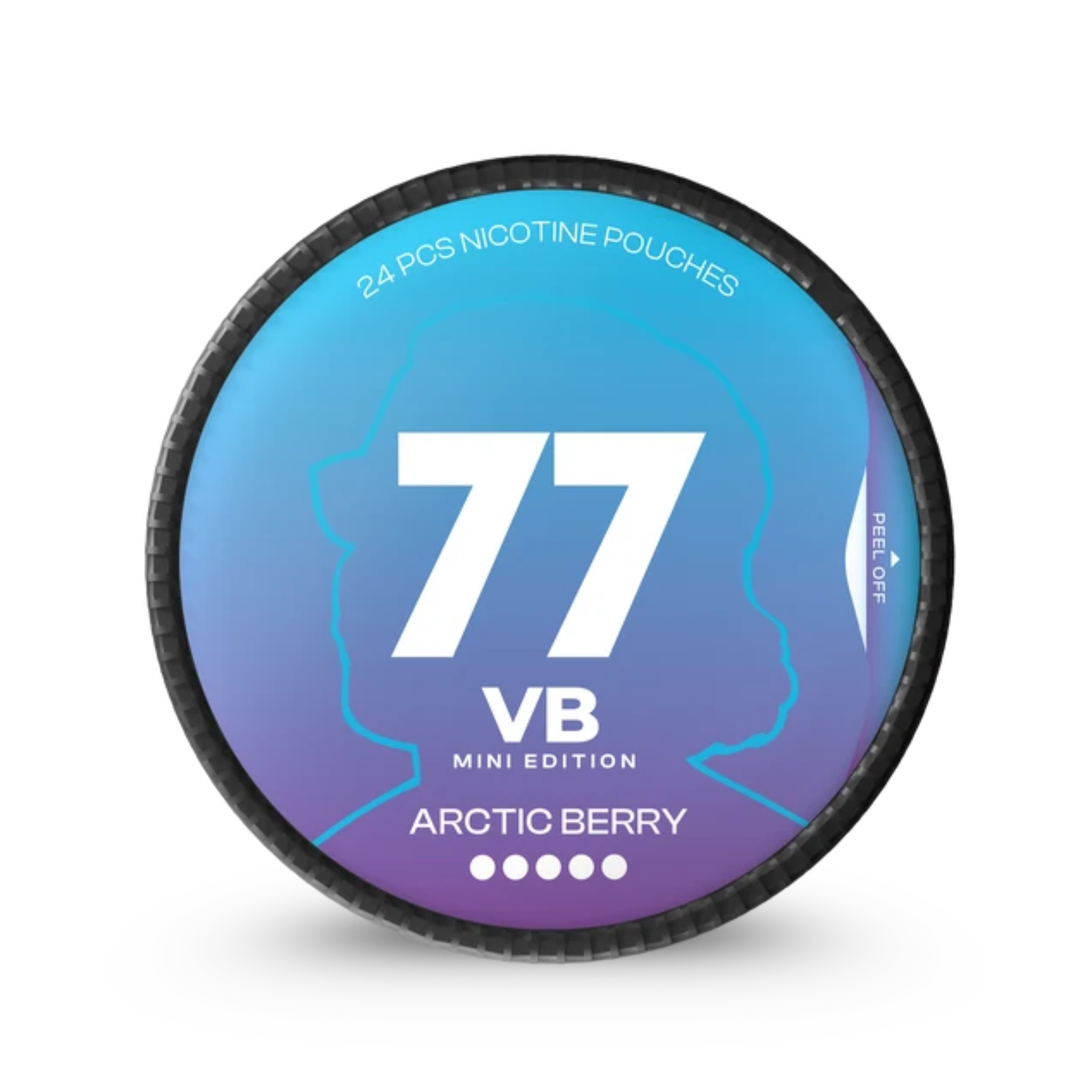 77 Ghost VB Arctic Berry Mini (20 mg/pouch) – Nordic Fulfillment