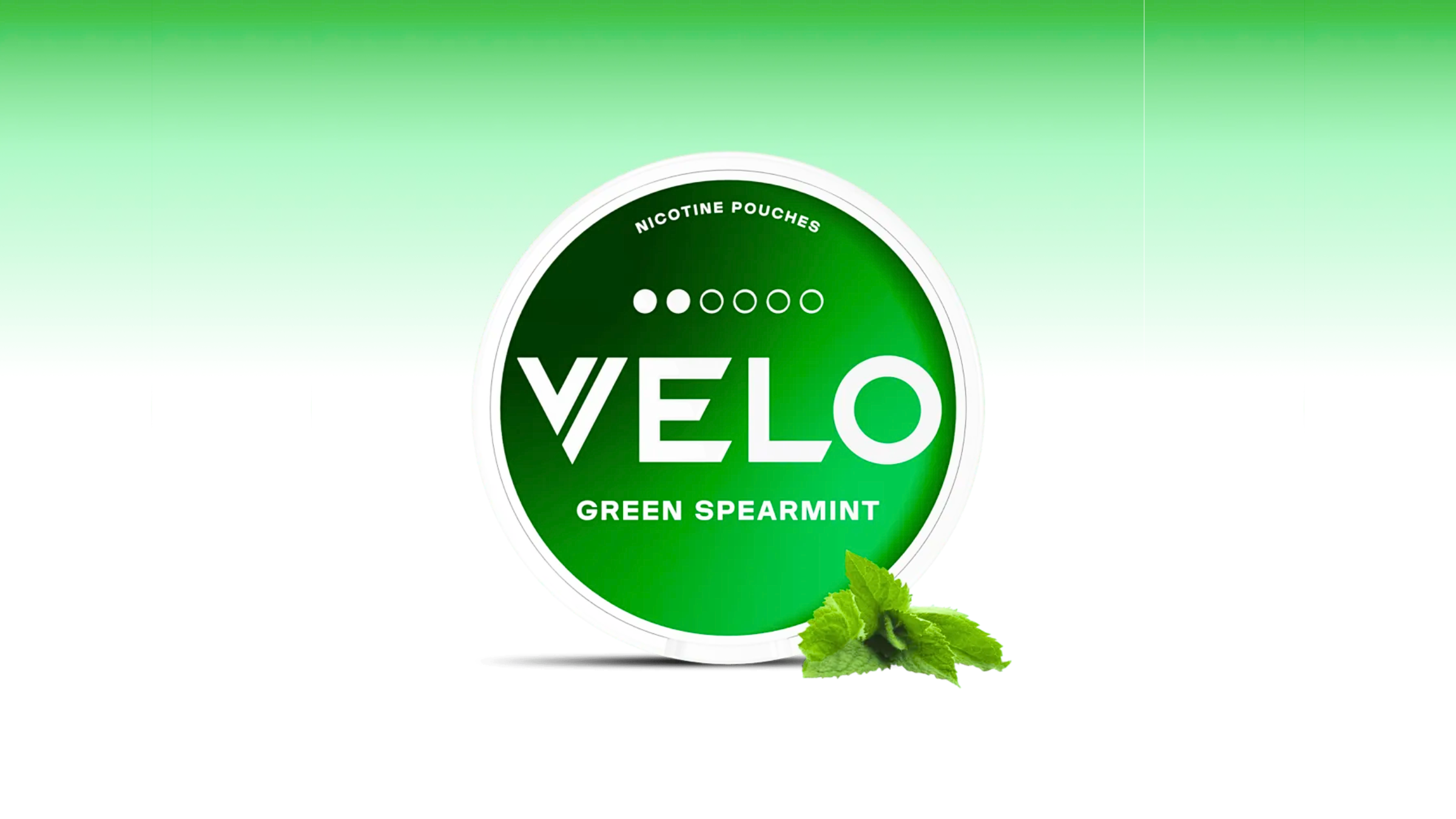 Velo Nicotine Pouches: The Premier Choice for Tobacco-Free Nicotine