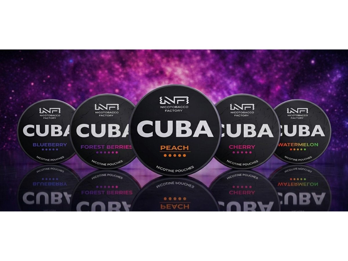 Launching a Nicotine Pouch Brand: A Starter Guide