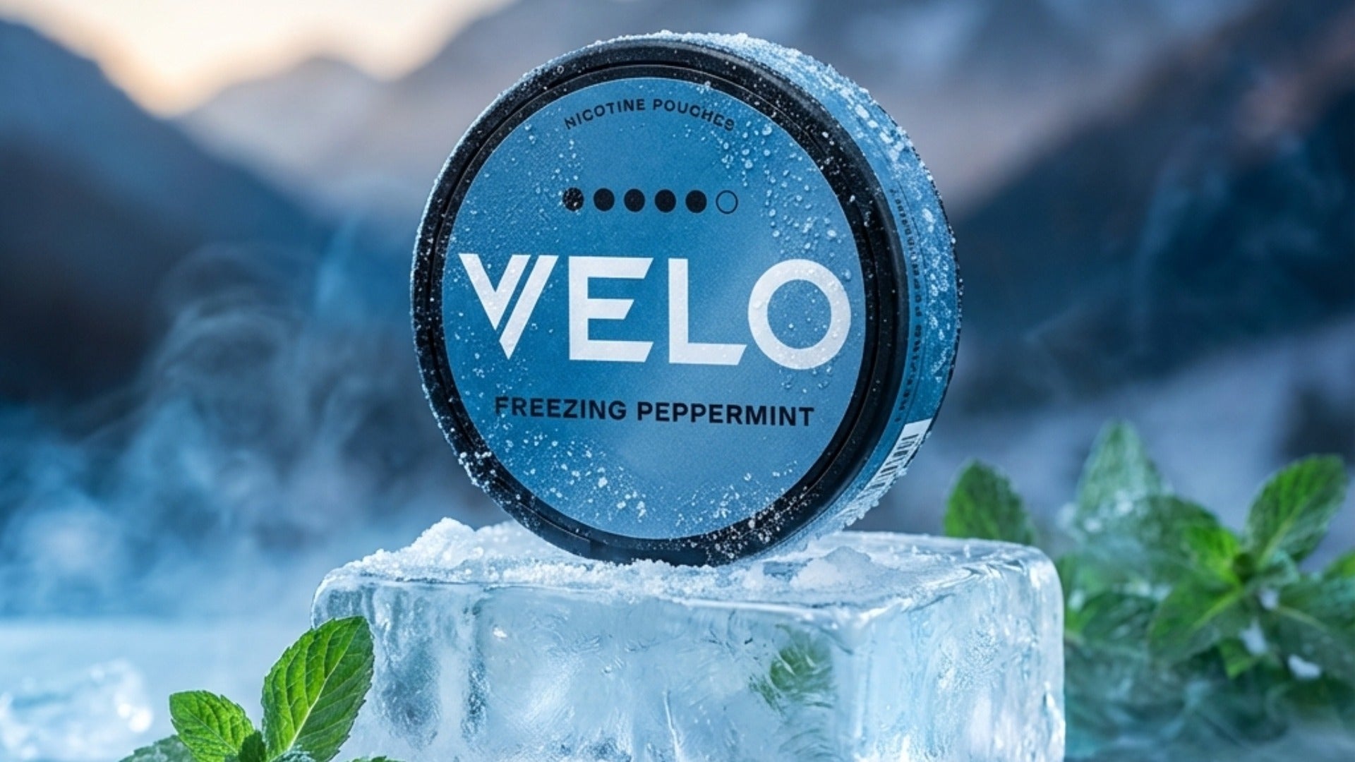 velo bulk